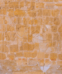 Karnak Temple, Colossal sculptures of ancient Egypt in the Nile Valley in Luxor, Embossed hieroglyphs on the wall	