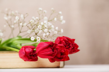 Vintage still Life with a spring red tulips and a book on a beige background. Mother's day, women's day concept