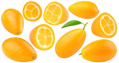 isolated kumquates. Collection of fresh kumquat (fortunella) citrus fruits, whole and cut, isolated on white background with clipping path