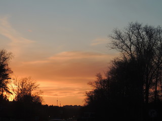 sunset in the forest