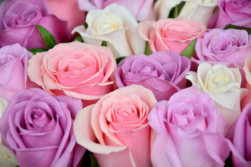 Fototapeta na wymiar Pink and white roses background