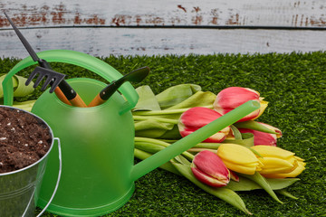 Gardening tools and flowers.