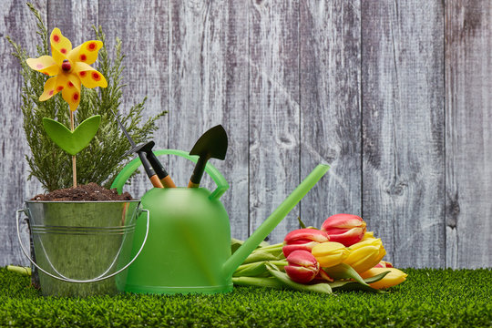 Gardening tools and flowers.