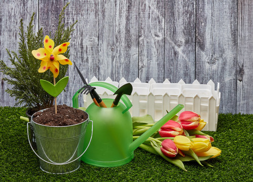 Gardening tools and flowers.