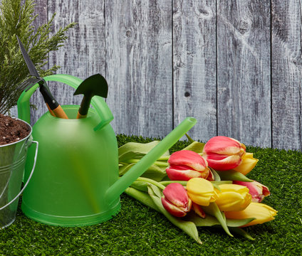 Gardening tools and flowers.