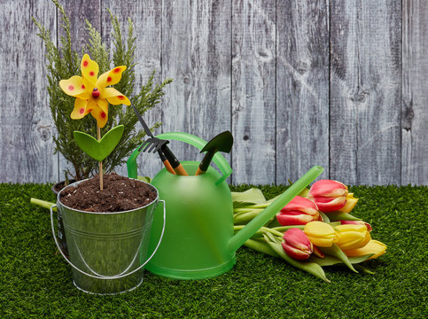 Gardening tools and flowers.