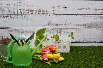 Gardening tools, sprouts and flowers.