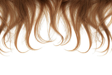 Brown hair tips isolated on white background. Close-up