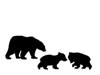 Fototapeten Bear family two bear cubs black silhouette animals. Vector Illustrator. © KozyrevaElena