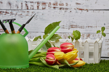 Gardening tools, sprouts and flowers.