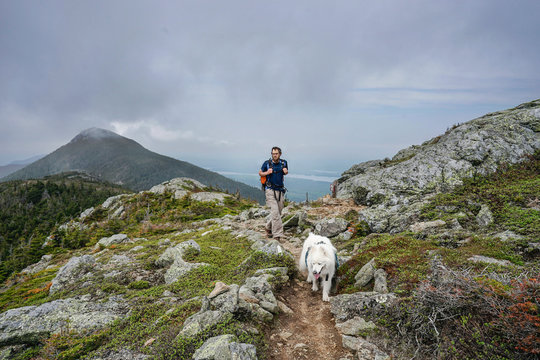 Man hiking with dog on Avery Peak
