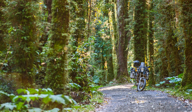 Touring motorcycle parked on gravel road in forest