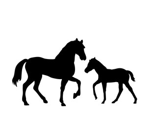 Horse and foal farm mammal black silhouette animal. Vector Illustrator.