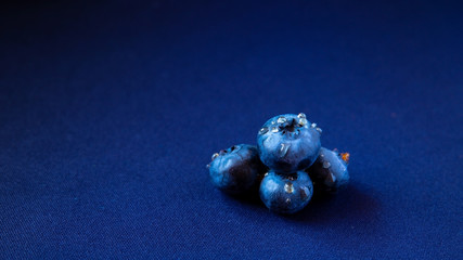 juicy summer berry is blueberries with drops of honey on a blue background