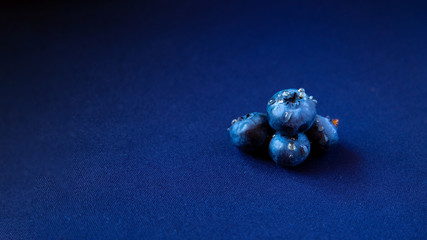 juicy summer berry is blueberries with drops of honey on a blue background