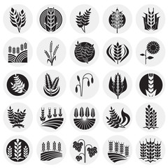 Cereal icons set on circles background for graphic and web design. Simple vector sign. Internet concept symbol for website button or mobile app.