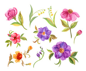 Set of decorative flowers, watercolor painting, isolated on white background, abstract floral pattern.