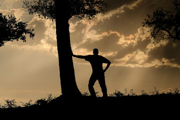 silhouette of man standing leaning against a tree intently watching the cloudy sky at sunset