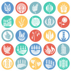 Cereal icons set on color circles background for graphic and web design. Simple vector sign. Internet concept symbol for website button or mobile app.