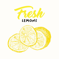 Fresh lemon vector illustration. Sketch fruit clipart. Handwritten lettering, calligraphy. Isolated yellow citrus color design element. Sliced lemon engraving style drawing. Shop sign, logo