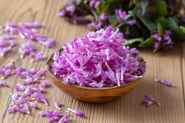 Obraz na płótnie Canvas Fresh purple dead-nettle flowers in a bowl on a table