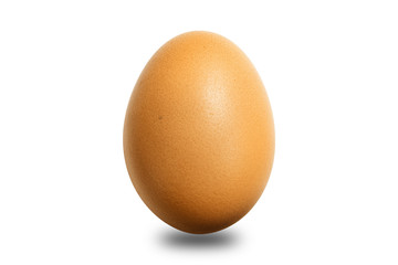Isolated natural brown chicken egg on white background with soft shadow below the egg