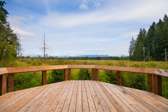 Wooden deck overlooking greenspace.