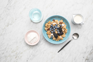 Gourmet Muesli Granola with Ingredients
