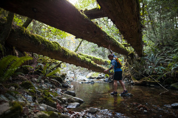 Man exploring Echo Creek while trail running near Elbow Lake in Fraser Valley, Harrison Mills, British Columbia, Canada