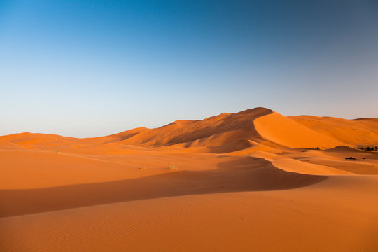 Red sand dunes in the Sahara desert at Erg Chebbi, Merzouga. Morocco