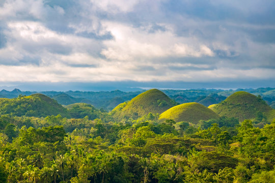 Chocolate Hills in late afternoon, Bohol, Philippines