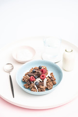 Gourmet Muesli Granola with Ingredients