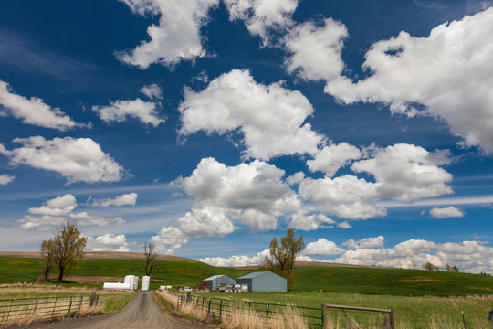 Farm under blue sky with clouds, Palouse, Washington State, USA