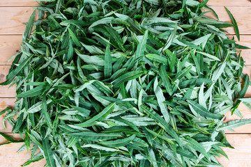 Fototapeta premium blooming sally leaves - raw materials for making traditional Russian Koporsky tea also known as Ivan Tea