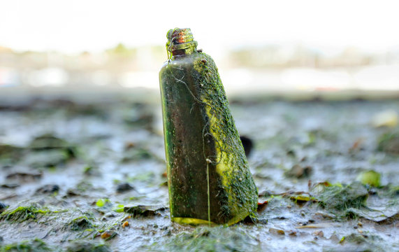 Bottle in mud during low tide