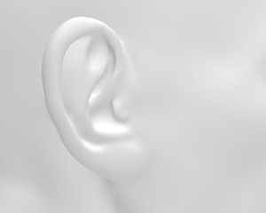Human Ear 3D Rendering