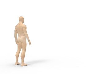 Human Man Nude Body Anatomy on isolated White. 3D Rendering