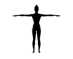 Fototapeta na wymiar Woman Nude Body silhouette Anatomy on isolated White. 3D Rendering