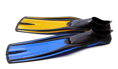 Flippers for diving of two different colors