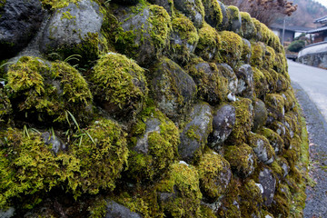 苔がついた石