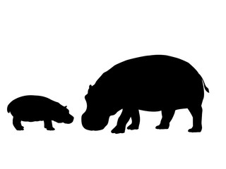 Hippo and cub hippo mammal black silhouette animal. Vector Illustrator.