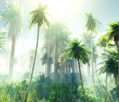 Jungle in the smoke, palm trees in the mist, morning tropical forest