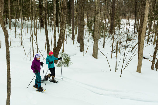 Two women snowshoe on a forest trail in Epping, New Hampshire.