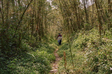 Fototapeta premium A group of hikers in the Aberdare Ranges, Kenya