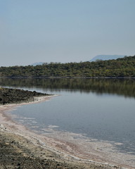 Colorful alage at the shores of Lake Magadi, Rift Valley, Kenya