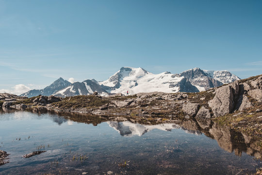 Mount Athabasca seen from Wilcox Pass, Alberta, Canada