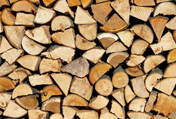 logs and timbers in the Woodshed