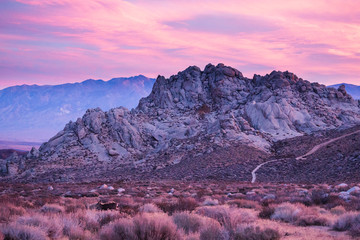 Desert landscape at sunrise, Bishop, California, USA