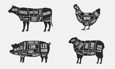 Set of Meat diagrams. Cuts of meat. Cow, Chicken, Pig and Sheep silhouette isolated on white background. Vintage Posters for butcher shop. Vector illustration