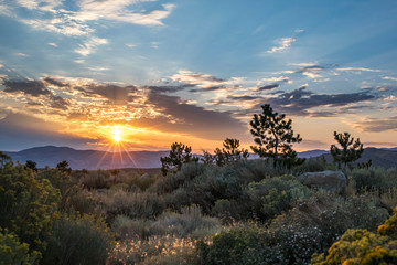 Desert at sunrise, Reno, Nevada, USA